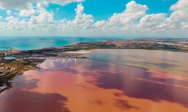 Venta - Apartment - Torrevieja - La Mata