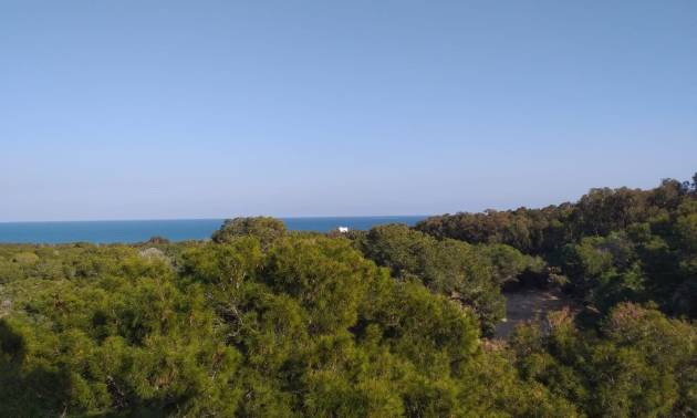 Nieuwbouw projecten - Appartment - Guardamar del Segura - Pueblo