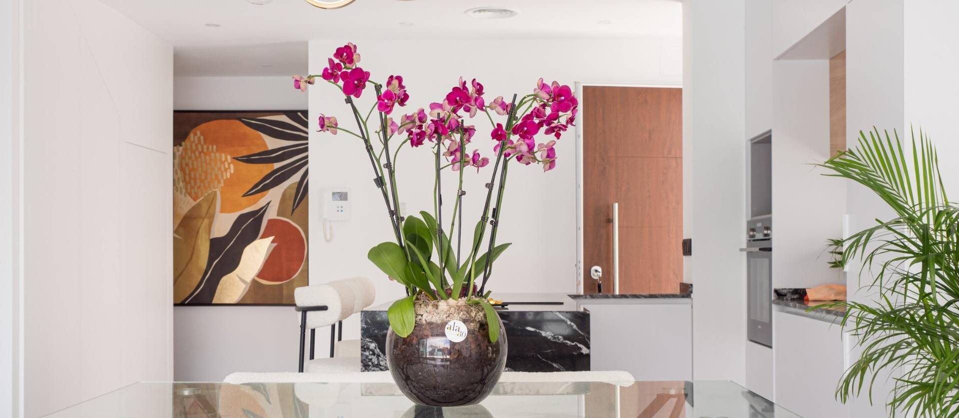 New Build - Villa - San Pedro del Pinatar - San Pedro de Pinatar