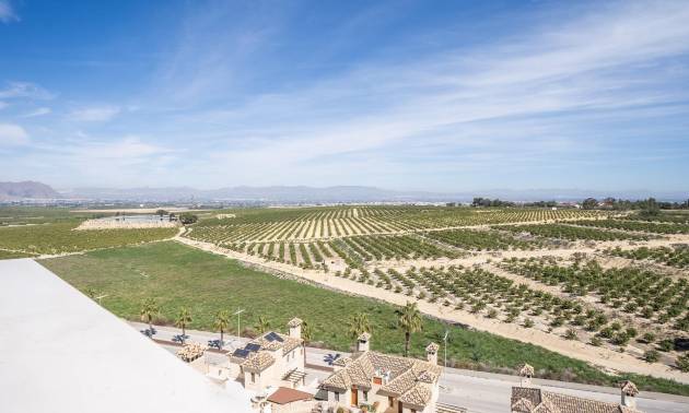 Nueva construcción  - Villa - Algorfa - La Finca Golf