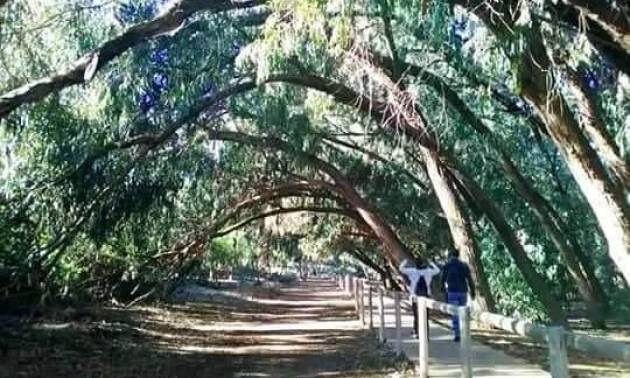 Nieuwbouw projecten - Bungalow - Torrevieja - Altos del Sol