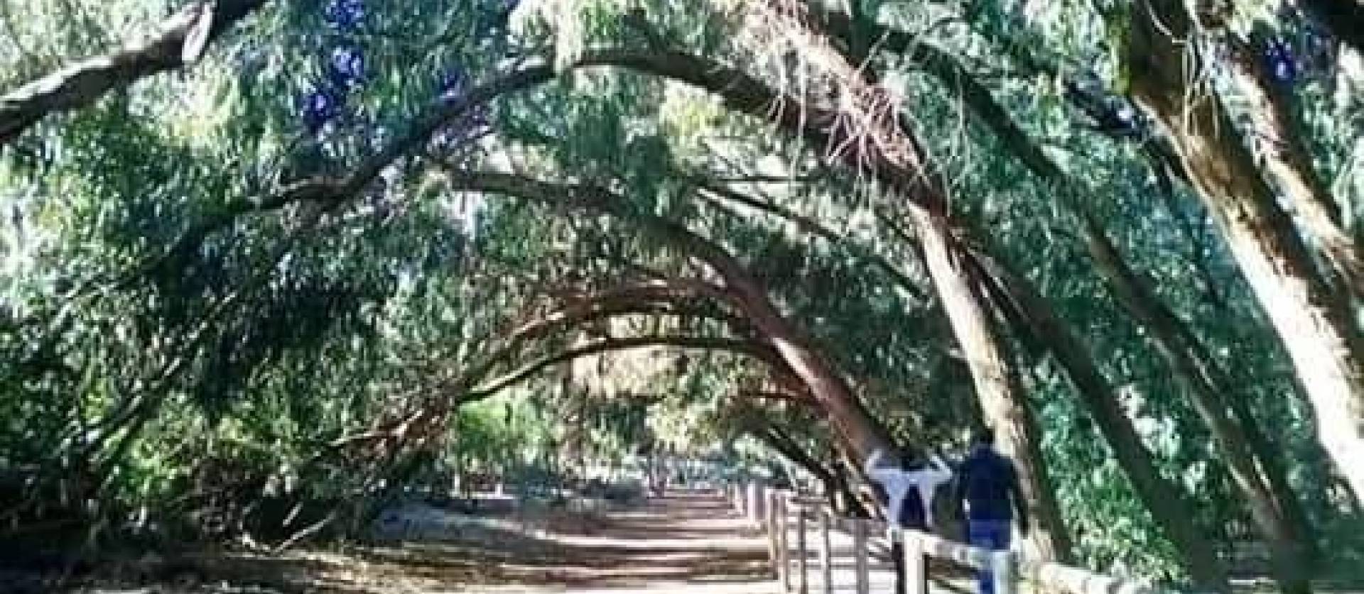 Nieuwbouw projecten - Bungalow - Torrevieja - Altos del Sol