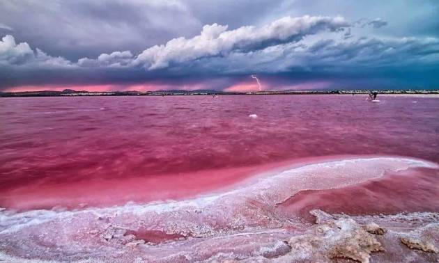 Nieuwbouw projecten - Bungalow - Torrevieja - Altos del Sol