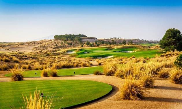 Nueva construcción  - Villa - Alhama de Murcia - Condado de Alhama