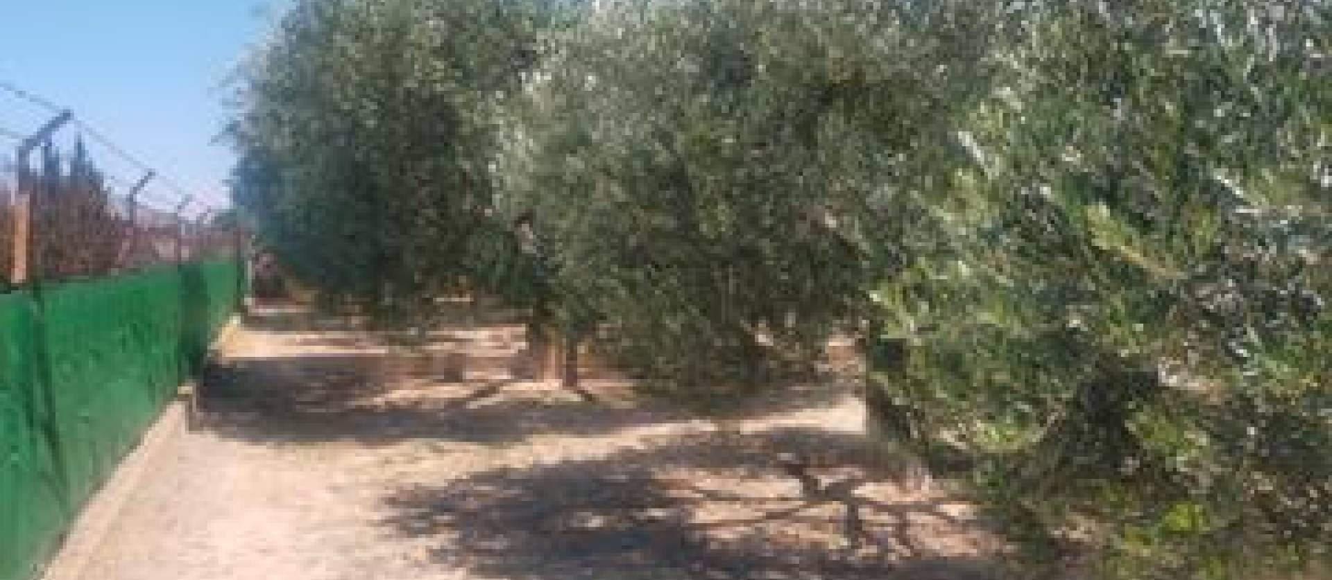 Revente - Villa - Elche