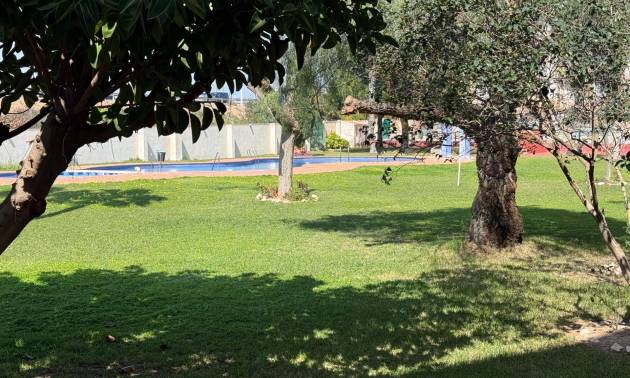 Venta - Apartment - Torrevieja - Parque de las Naciones
