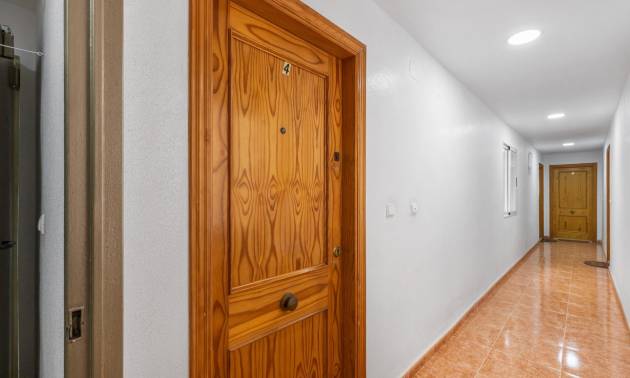 Bestaande woningen - Appartment - Torrevieja - torrevieja