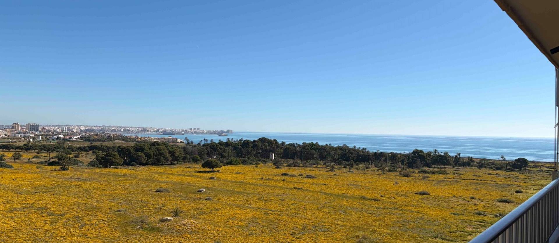 Sale - Apartment - Orihuela Costa - Punta Prima