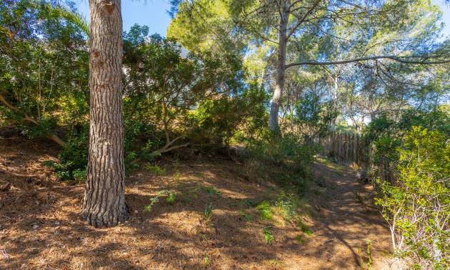 Sale - Villa - Orihuela - Orihuela Costa