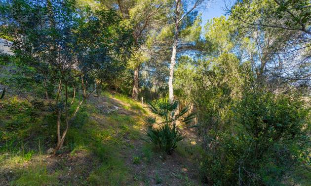 Sale - Villa - Orihuela - Orihuela Costa
