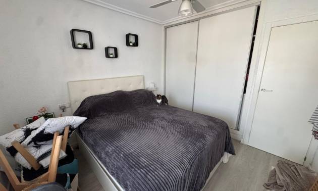 Bestaande woningen - Bungalow - Torrevieja - La Siesta - El Salado - Torreta