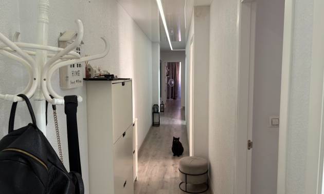 Sale - Apartments - Torrevieja - Centro