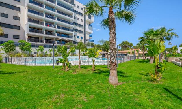 Revente -  - Dehesa De Campoamor - Dehesa de campoamor
