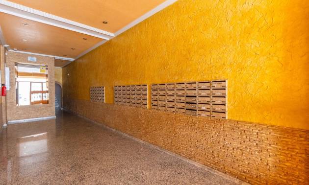 Sale - Apartment - Torrevieja - Estacion de autobuses