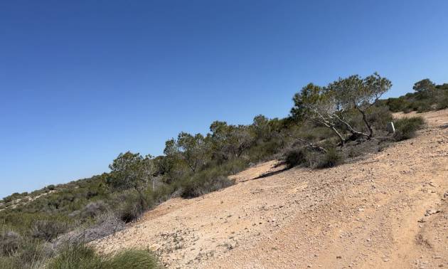 Sale - Land and Plots - San Fulgencio - La Marina