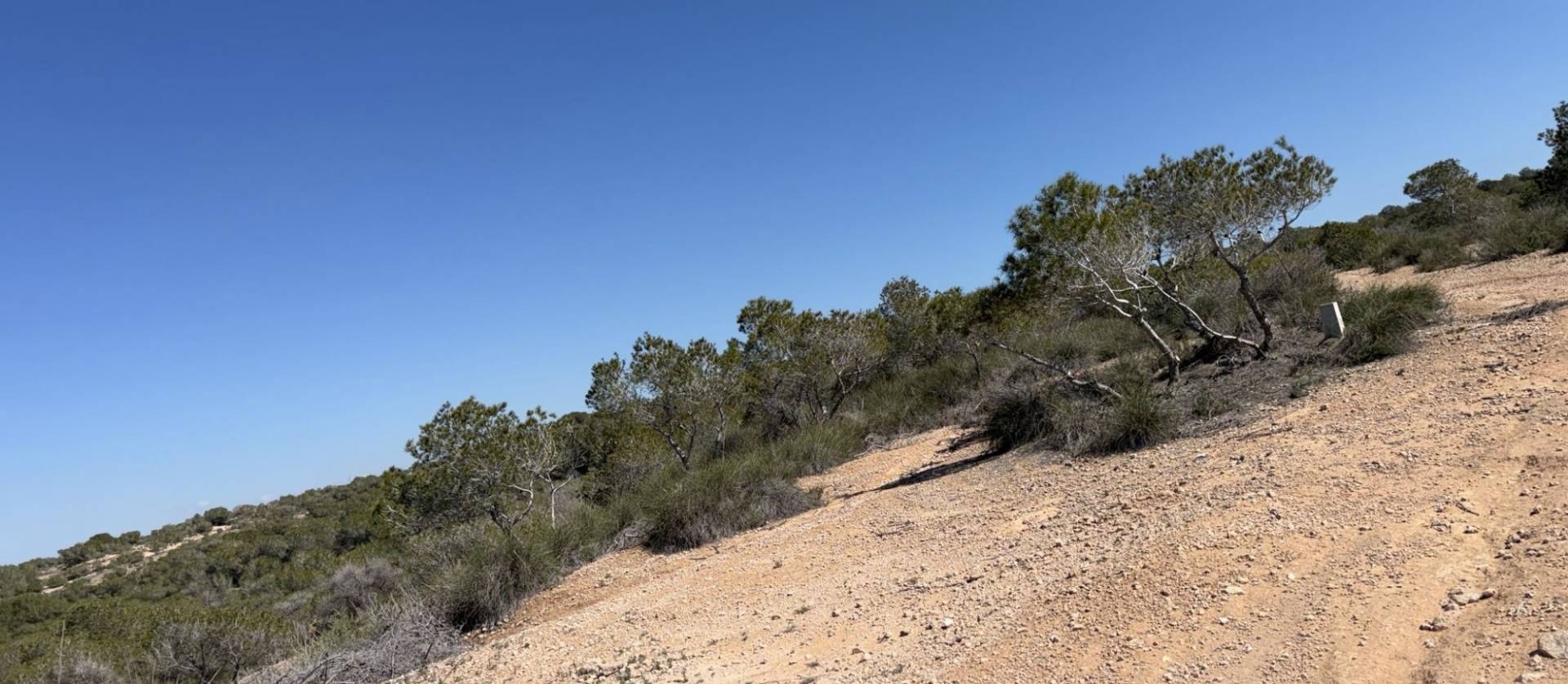 Sale - Land and Plots - San Fulgencio - La Marina