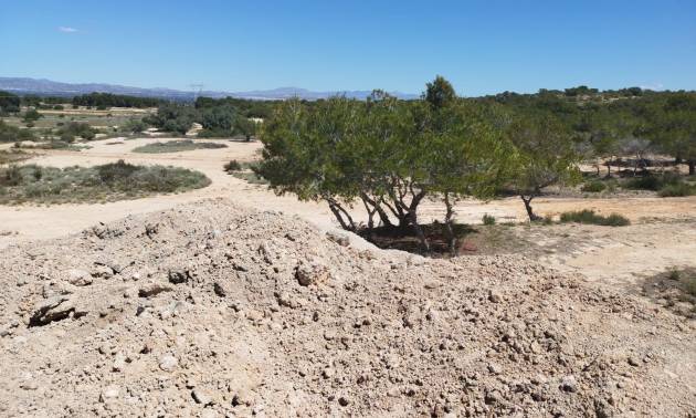 Sale - Land and Plots - San Fulgencio - La Marina