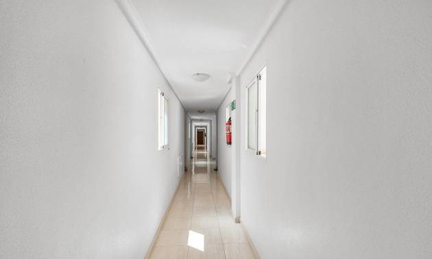 Sale - Apartment - Torrevieja - Estacion de autobuses
