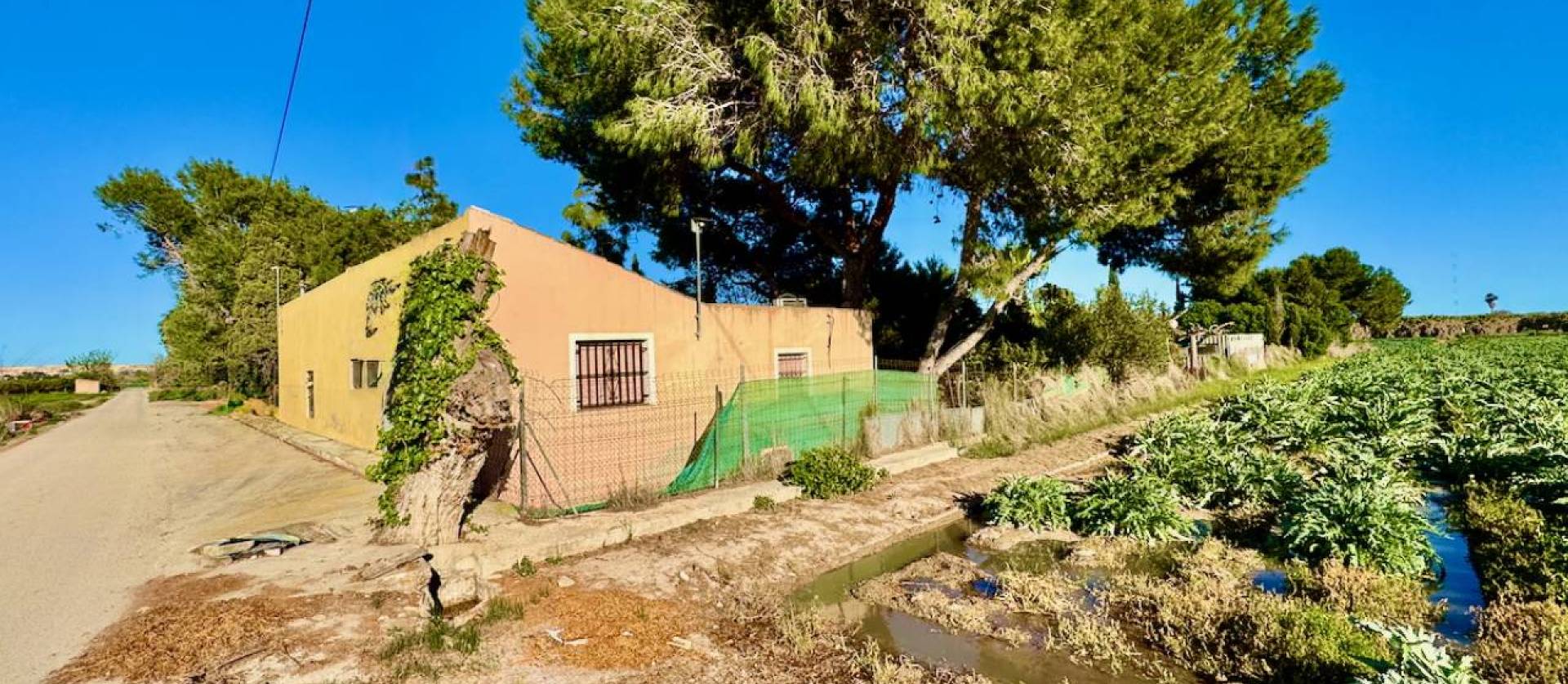 Sale - Country House - Guardamar del Segura
