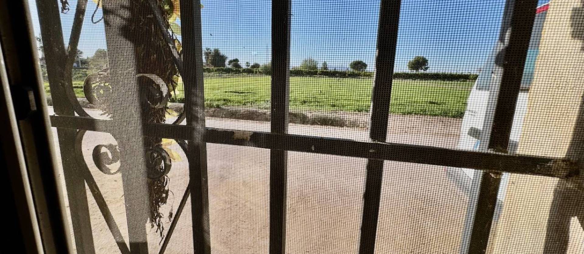 Sale - Country House - Guardamar del Segura