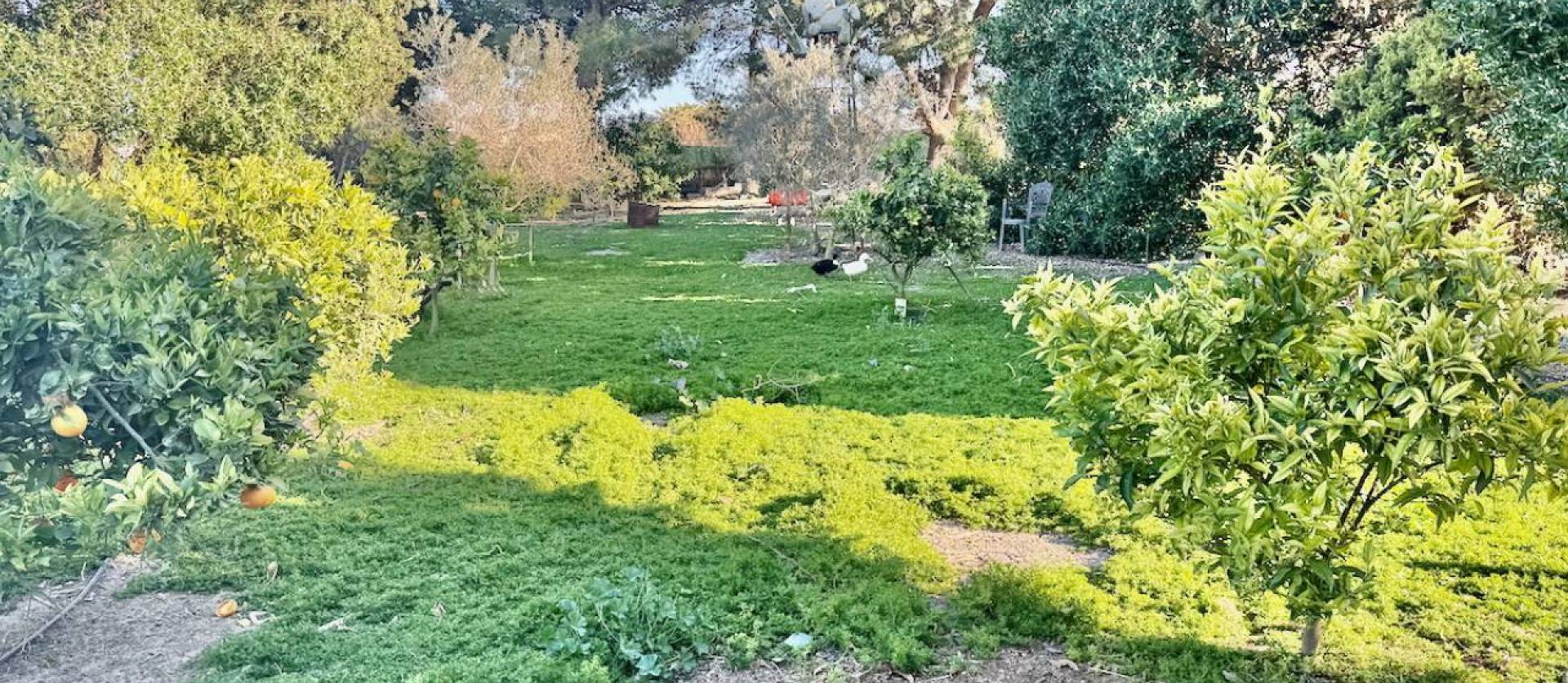 Sale - Country House - Guardamar del Segura