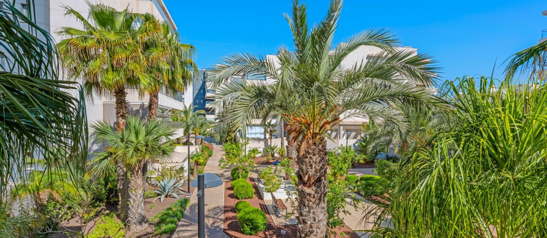 Sale - Apartments - Orihuela Costa - Los Dolses