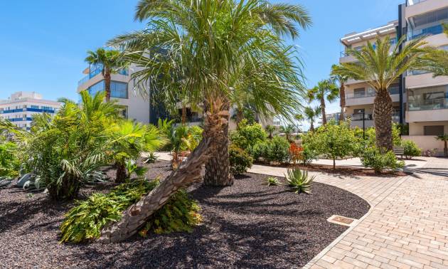 Sale - Apartments - Orihuela Costa - Los Dolses