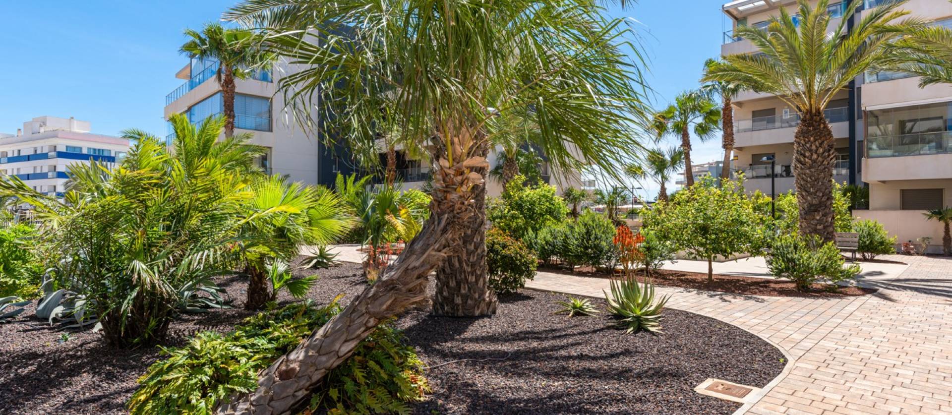 Sale - Apartments - Orihuela Costa - Los Dolses