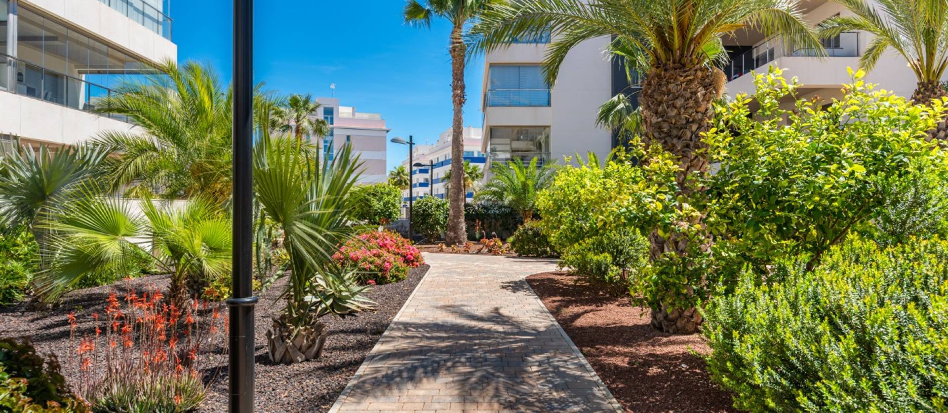 Sale - Apartments - Orihuela Costa - Los Dolses