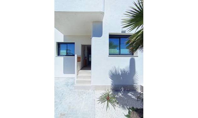 New Build - Bungalow - Dolores - Sector 3