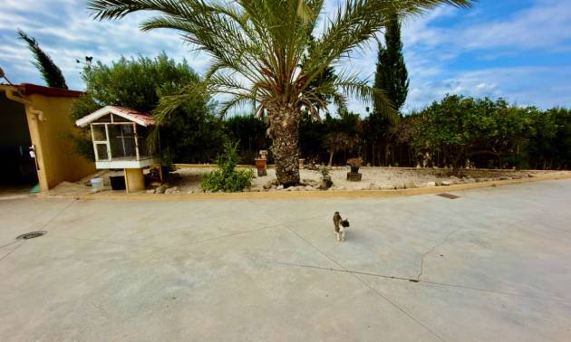Revente - Country House - San Fulgencio - La Marina