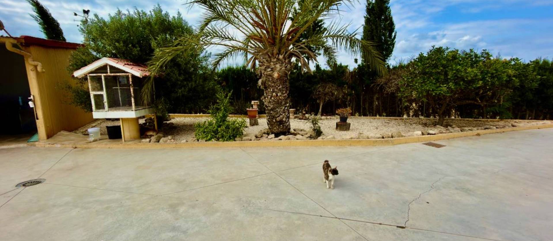 Revente - Country House - San Fulgencio - La Marina