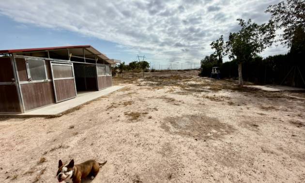 Revente - Country House - San Fulgencio - La Marina