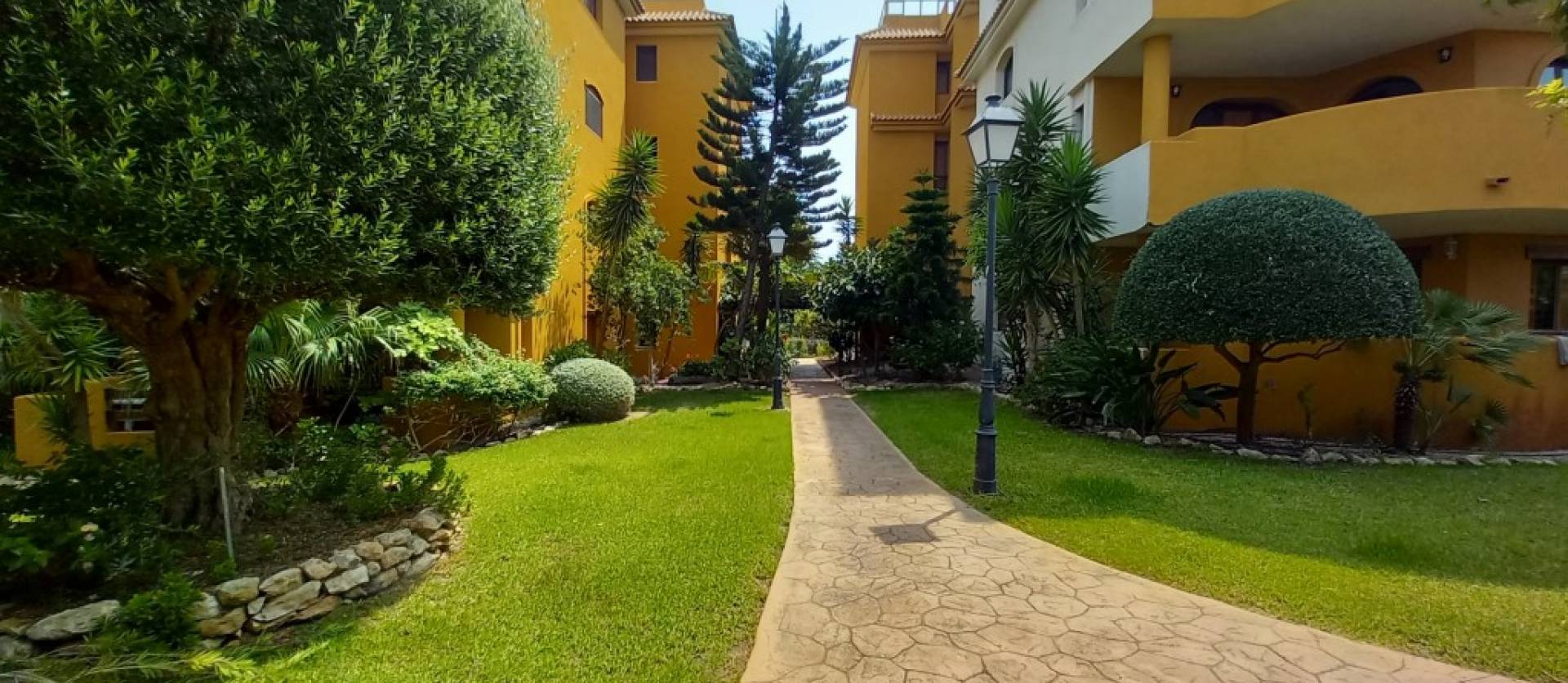 Sale - Apartment - Punta Prima