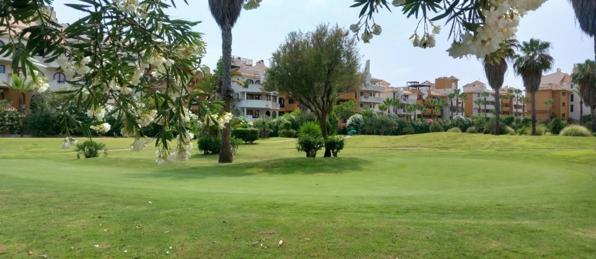 Sale - Apartment - Punta Prima