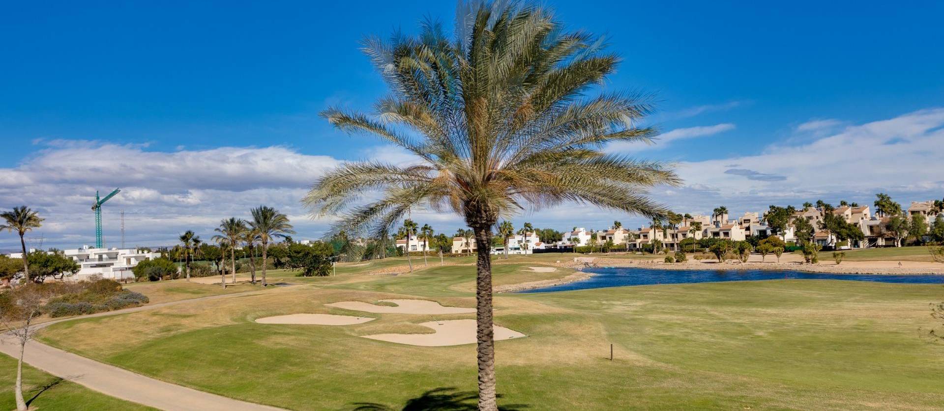 Nieuwbouw projecten - Villa - Pilar de la Horadada - Roda Golf