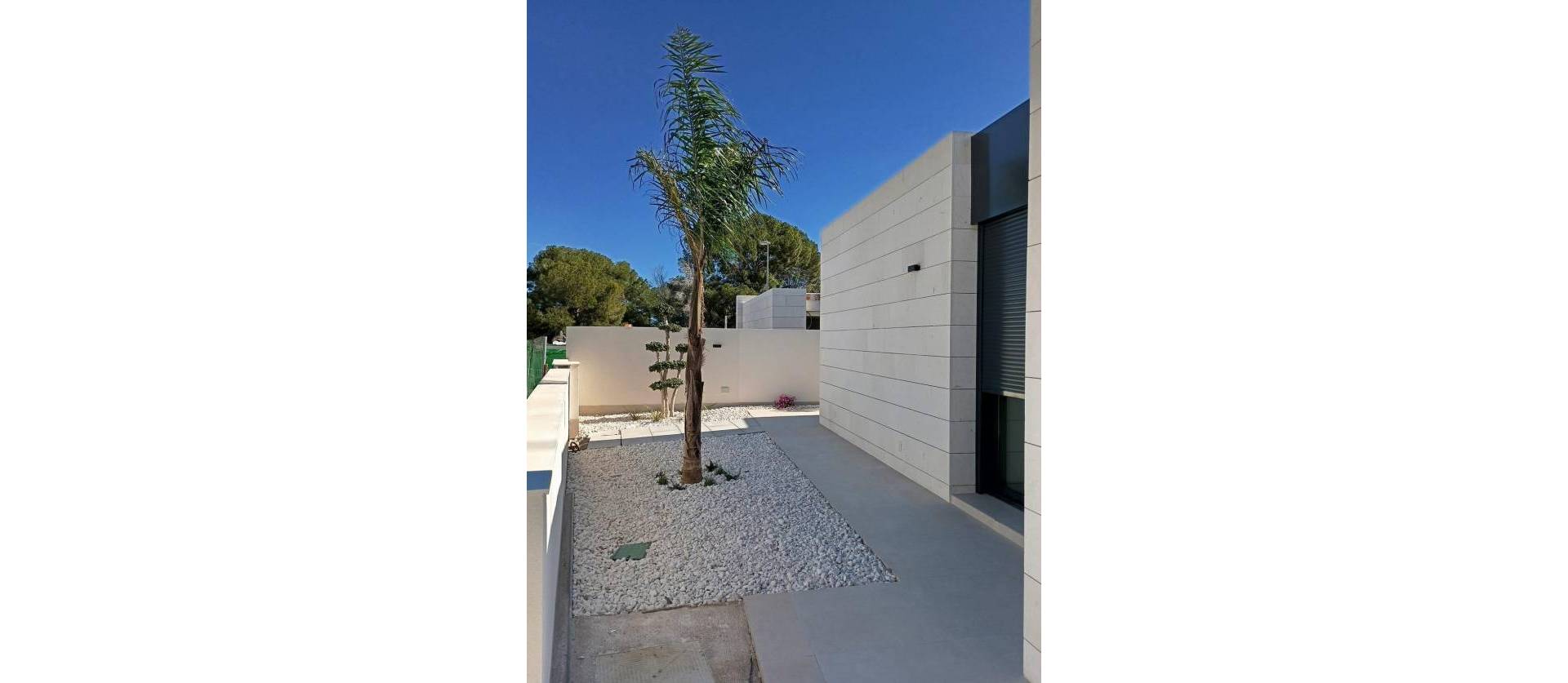 Nueva construcción  - Villa - Pilar de la Horadada - Roda Golf