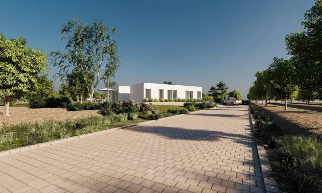 New Build - Villa - Benejúzar - alta