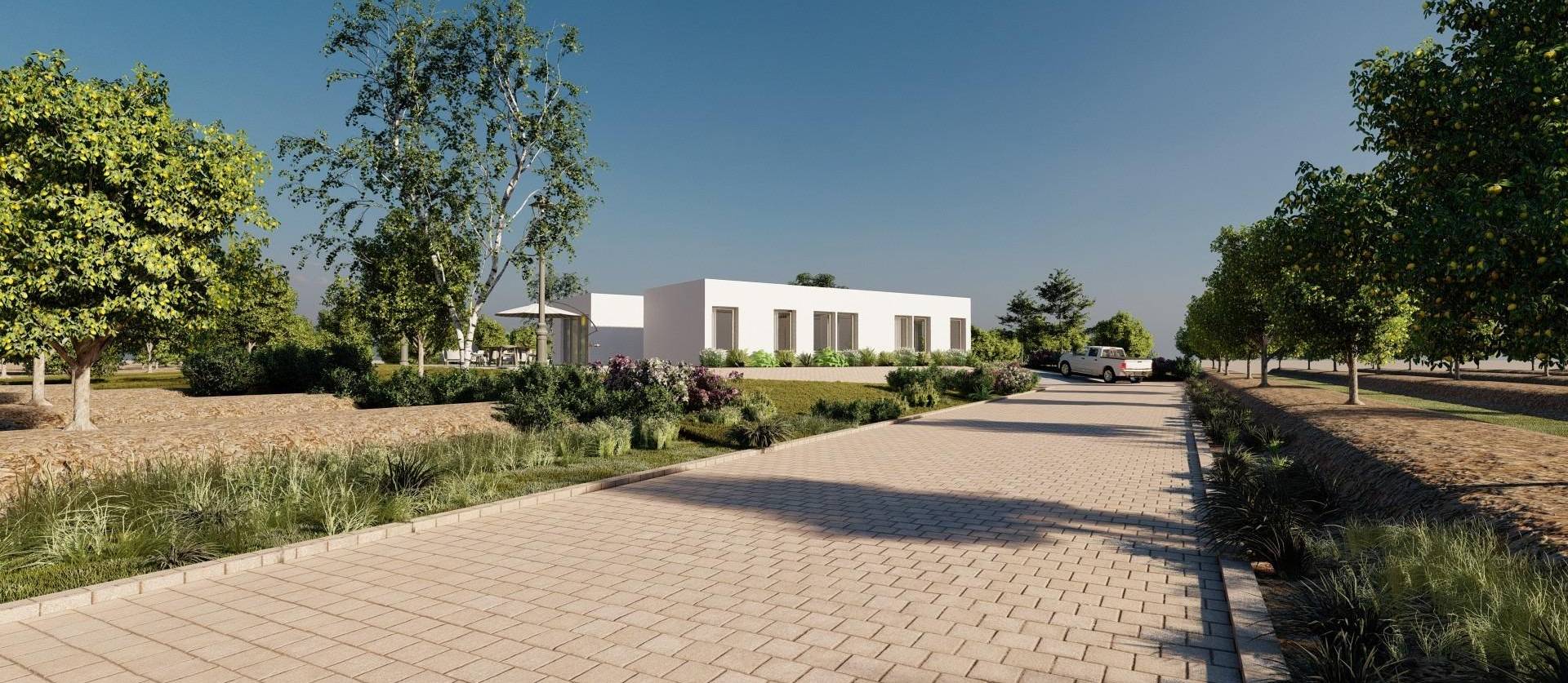 New Build - Villa - Benejúzar - alta