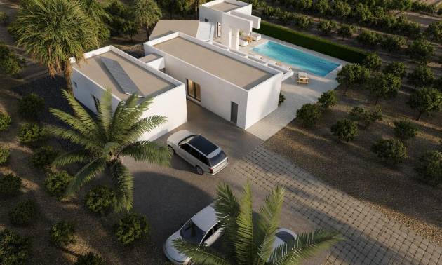 New Build - Villa - Benejúzar - alta
