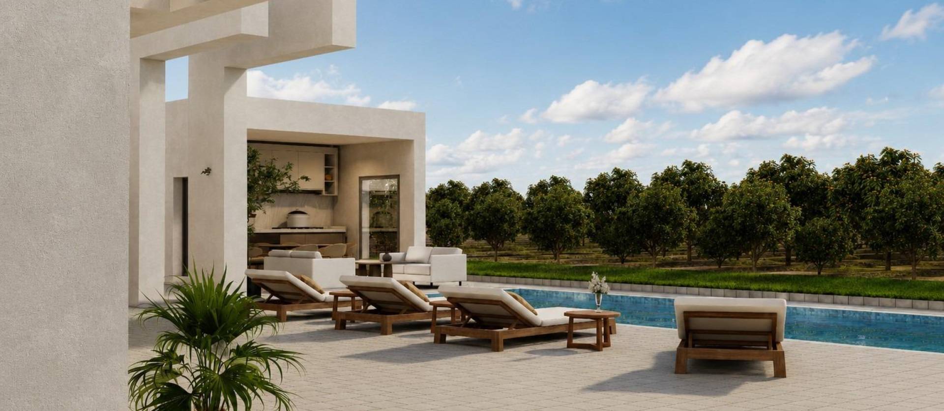 New Build - Villa - Benejúzar - alta