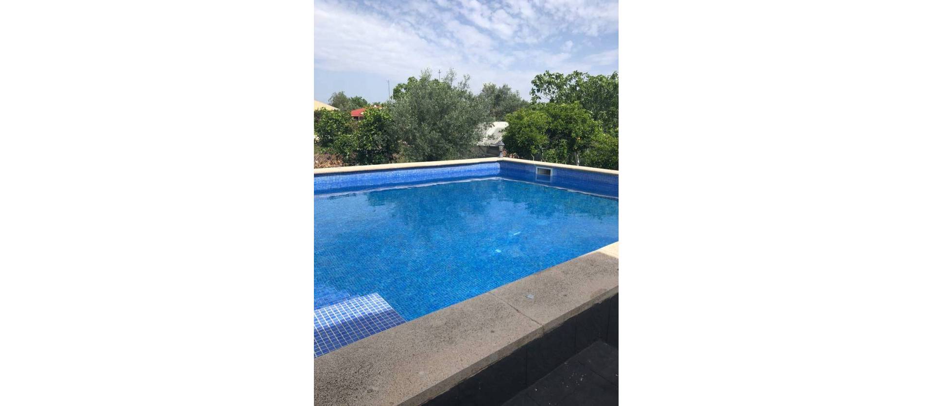 Sale - Villa - Canada De San Pedro - Costa Calida
