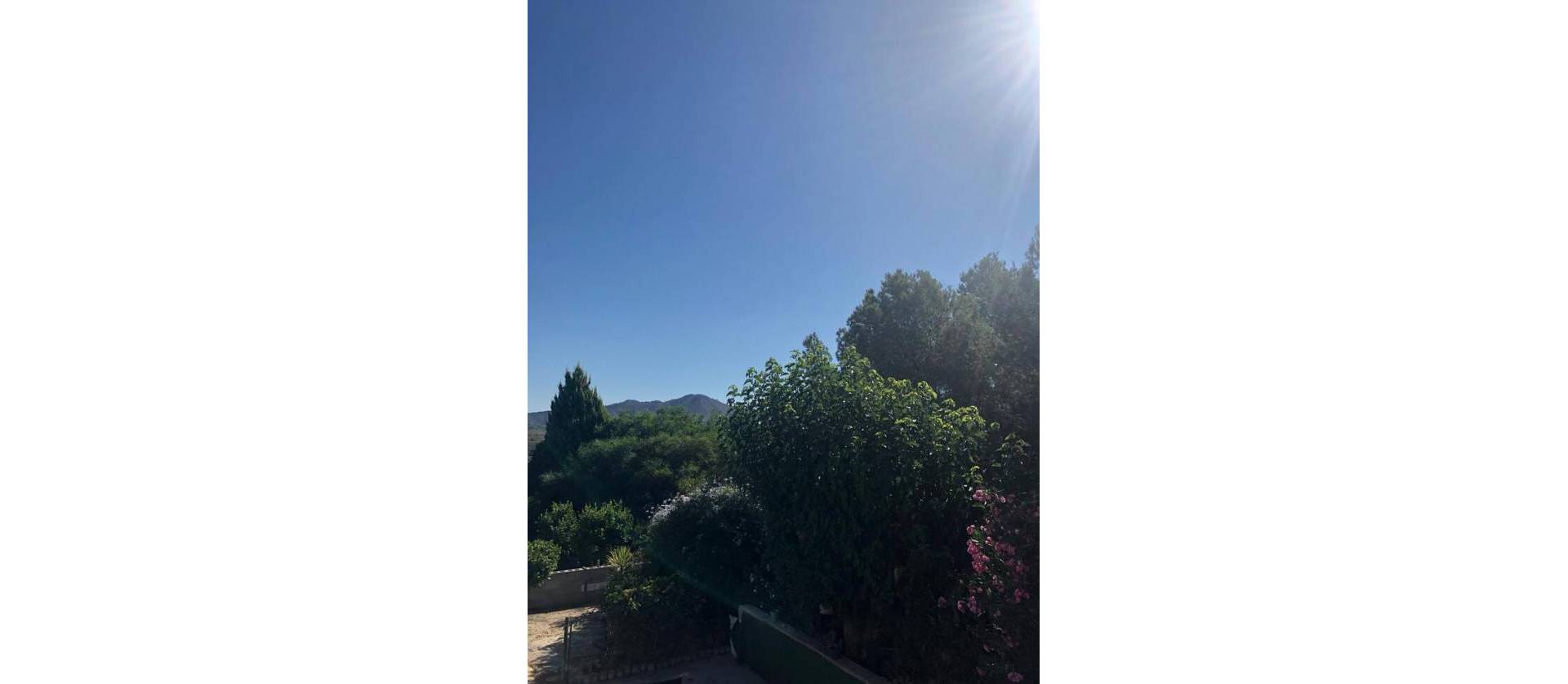 Sale - Villa - Canada De San Pedro - Costa Calida