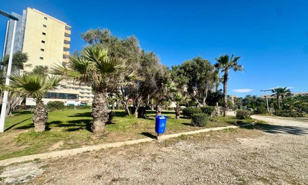 Sale - Apartment - Torrevieja - Cabo Cervera