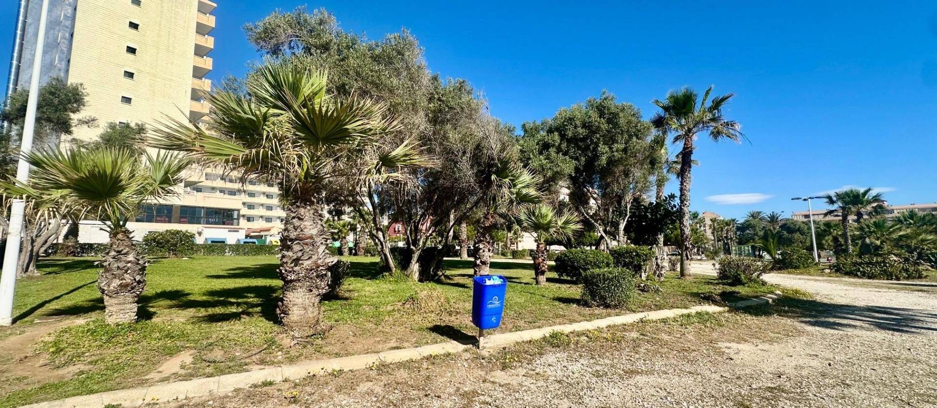 Sale - Apartment - Torrevieja - Cabo Cervera