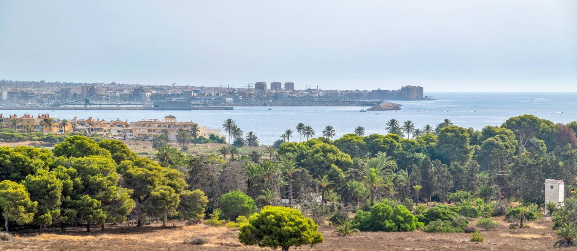 Sale - Apartment - Orihuela Costa - Punta Prima