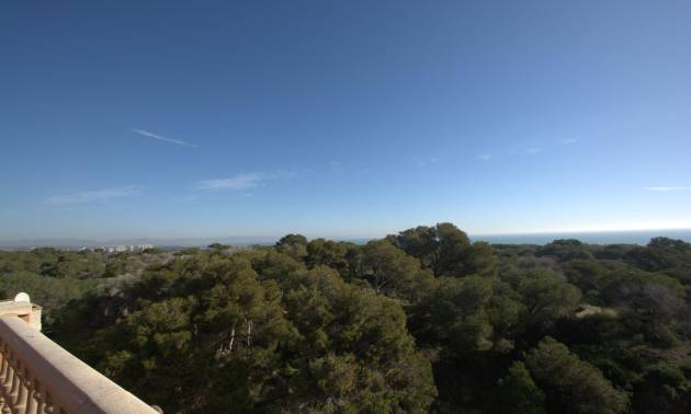 New Build - Apartment - Guardamar del Segura - Pueblo