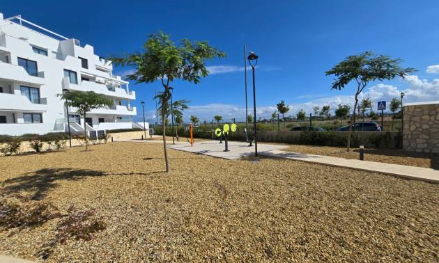 Sale - Apartment - Torre Pacheco - Santa Rosalía