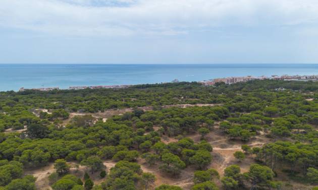 Sale - Apartment - Guardamar del Segura - CENTRO