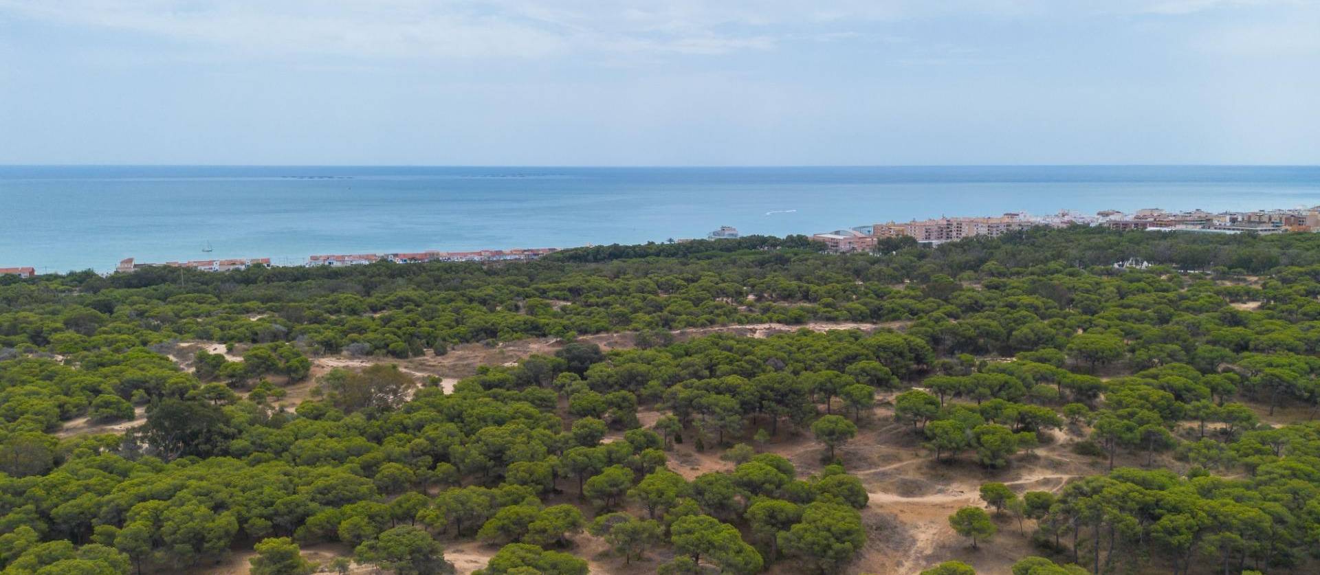 Sale - Apartment - Guardamar del Segura - CENTRO